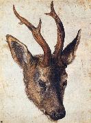 Albrecht Durer The Head of Stag oil painting reproduction